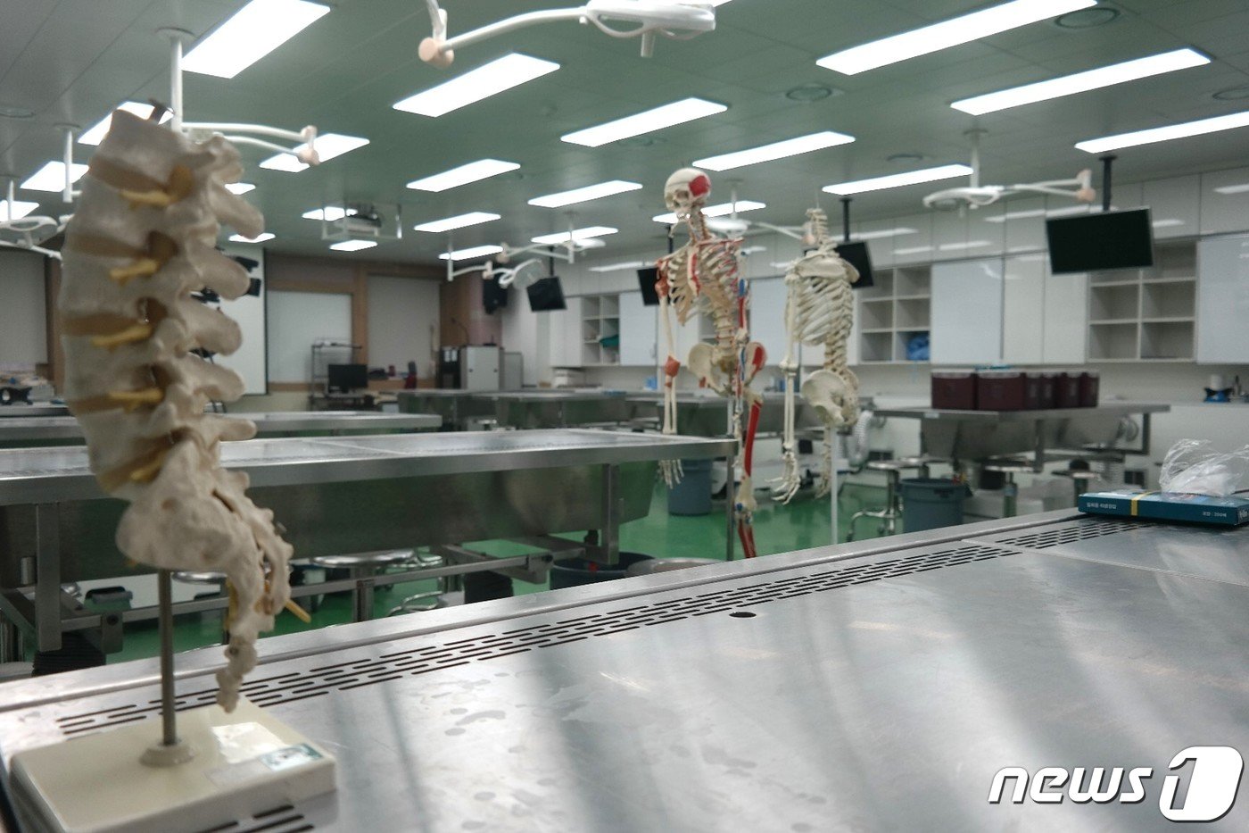 본문 이미지 - 충북대학교 의과대학 해부학실습실.2024.3.25/뉴스1 ⓒ News1 임양규 기자