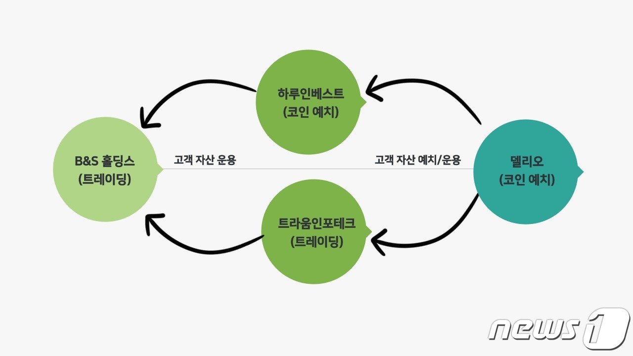 델리오와 하루인베스트, 트라움인포테크, B&S홀딩스 간 관계도. 그래픽=박현영기자