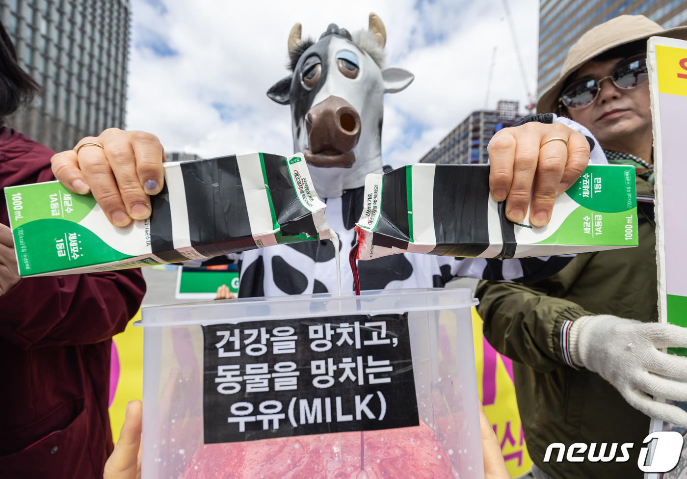 (서울=뉴스1) 이재명 기자 = 한국채식연합 회원들이 26일 오후 서울 세종대로 광화문광장에서 열린 '건강을 망치고, 동물을 망치는 우유' 기자회견에서 퍼포먼스를 하고 있다. 20 …