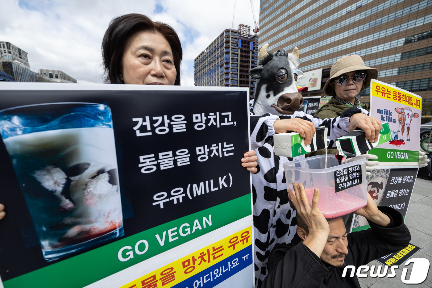 (서울=뉴스1) 이재명 기자 = 한국채식연합 회원들이 26일 오후 서울 세종대로 광화문광장에서 열린 '건강을 망치고, 동물을 망치는 우유' 기자회견에서 퍼포먼스를 하고 있다. 20 …