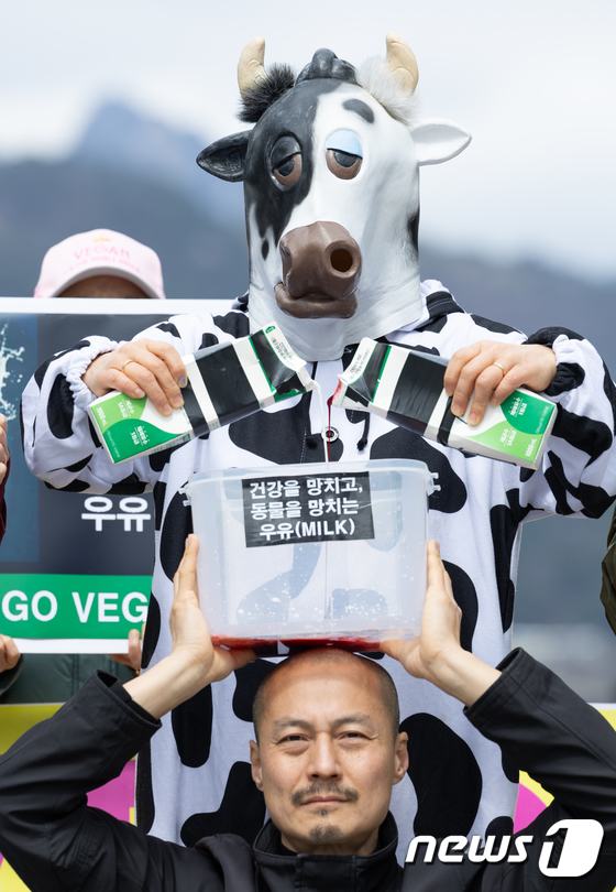 \'우유는 동물학대\' 퍼포먼스 하는 한국채식연합