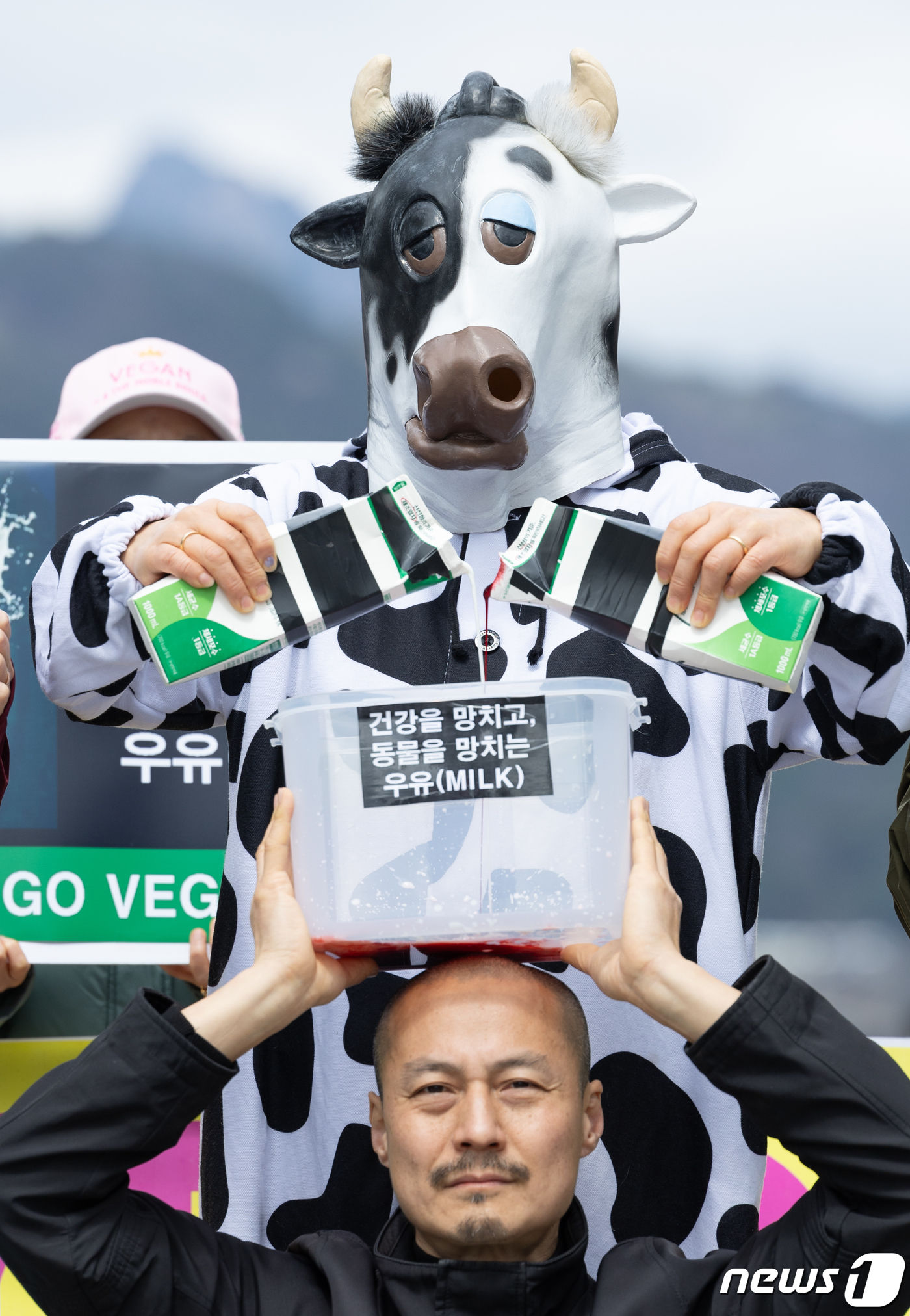 (서울=뉴스1) 이재명 기자 = 한국채식연합 회원들이 26일 오후 서울 세종대로 광화문광장에서 열린 '건강을 망치고, 동물을 망치는 우유' 기자회견에서 퍼포먼스를 하고 있다. 20 …
