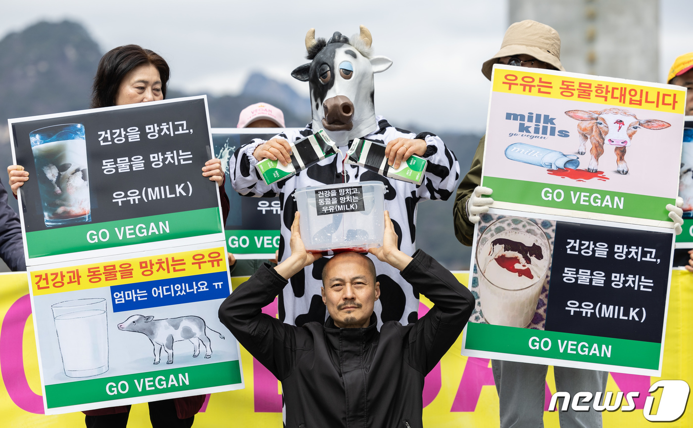 (서울=뉴스1) 이재명 기자 = 한국채식연합 회원들이 26일 오후 서울 세종대로 광화문광장에서 열린 '건강을 망치고, 동물을 망치는 우유' 기자회견에서 퍼포먼스를 하고 있다. 20 …