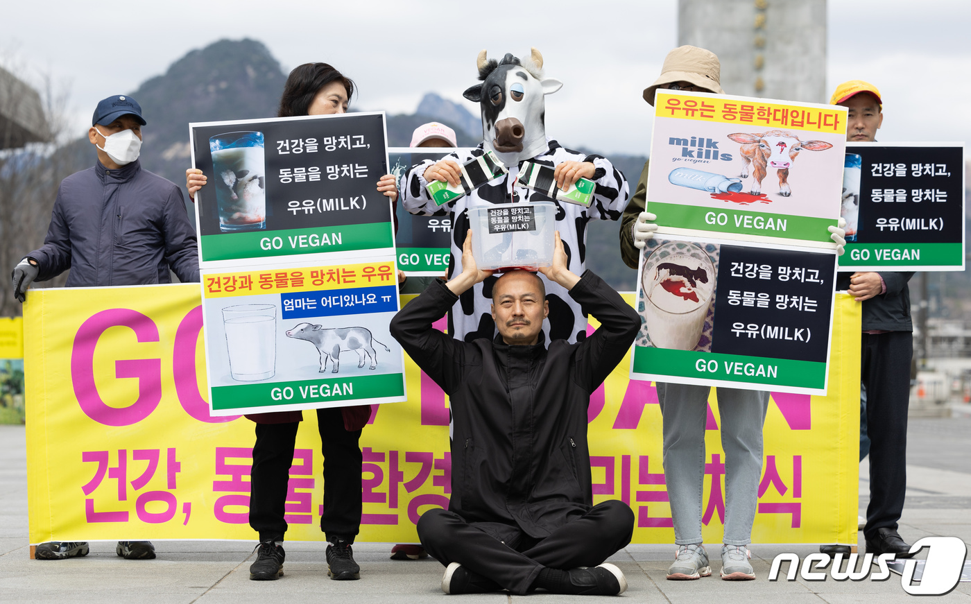 (서울=뉴스1) 이재명 기자 = 한국채식연합 회원들이 26일 오후 서울 세종대로 광화문광장에서 열린 '건강을 망치고, 동물을 망치는 우유' 기자회견에서 퍼포먼스를 하고 있다. 20 …