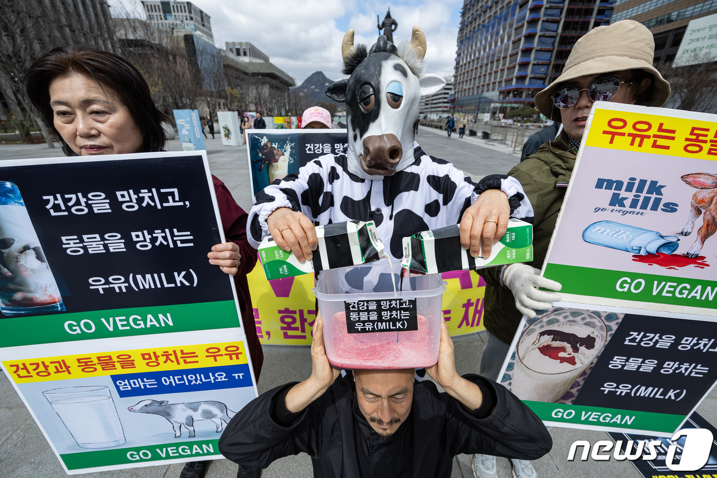 (서울=뉴스1) 이재명 기자 = 한국채식연합 회원들이 26일 오후 서울 세종대로 광화문광장에서 열린 '건강을 망치고, 동물을 망치는 우유' 기자회견에서 퍼포먼스를 하고 있다. 20 …