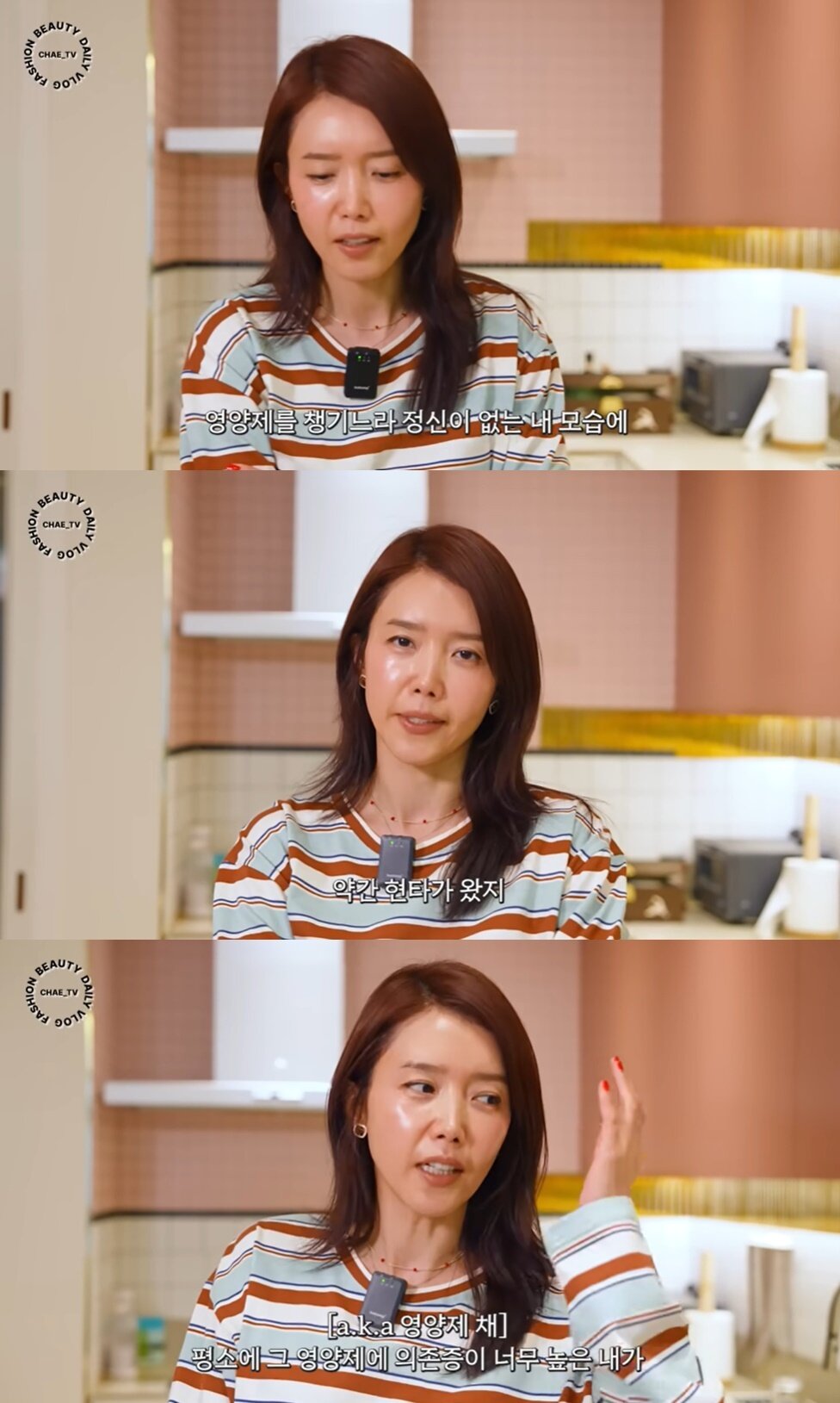 본문 이미지 - (유튜브 채널 '채정안TV' 갈무리)