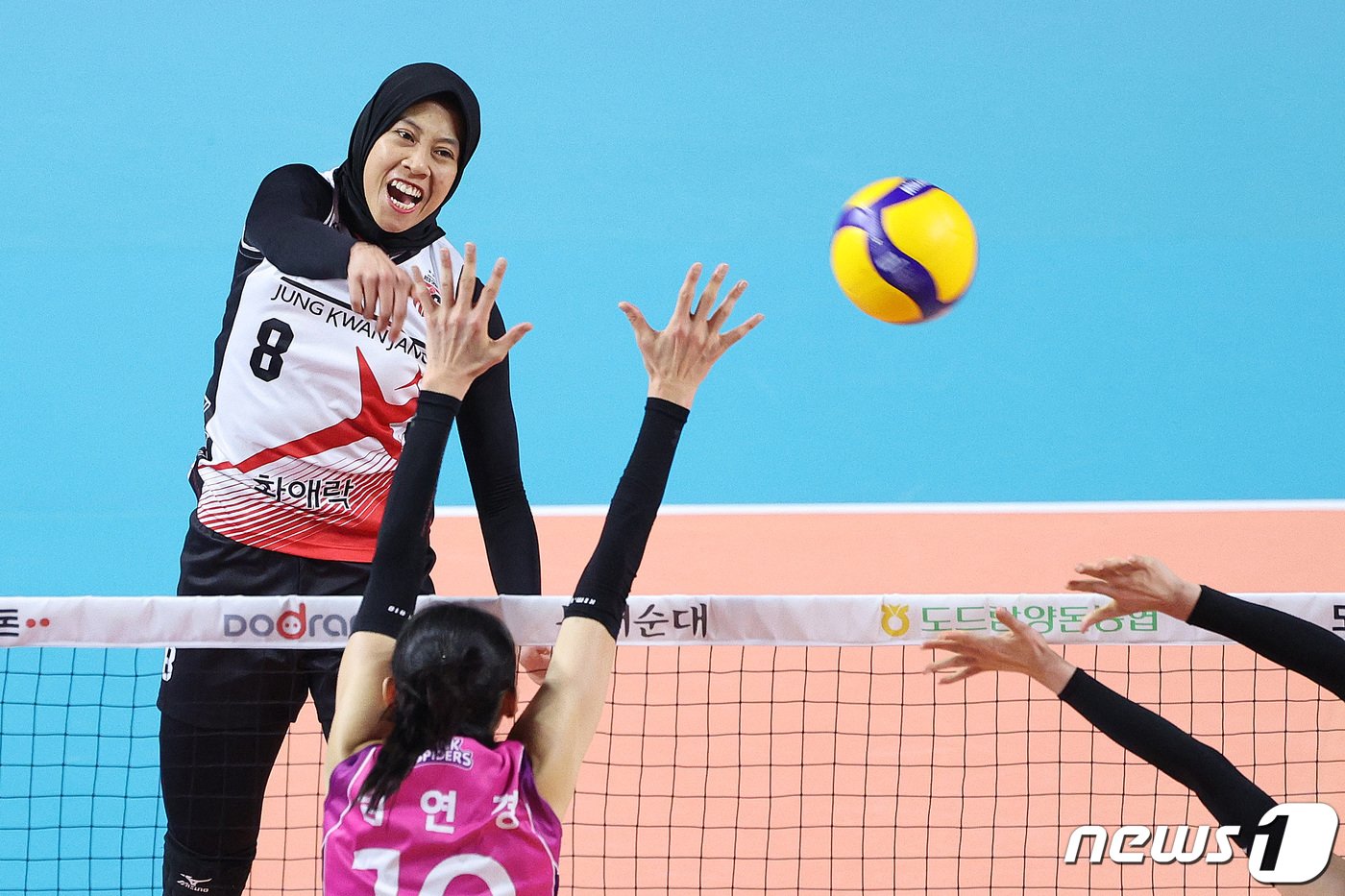 본문 이미지 - 정관장의 메가왓티 퍼티위. /뉴스1 DB ⓒ News1 신웅수 기자