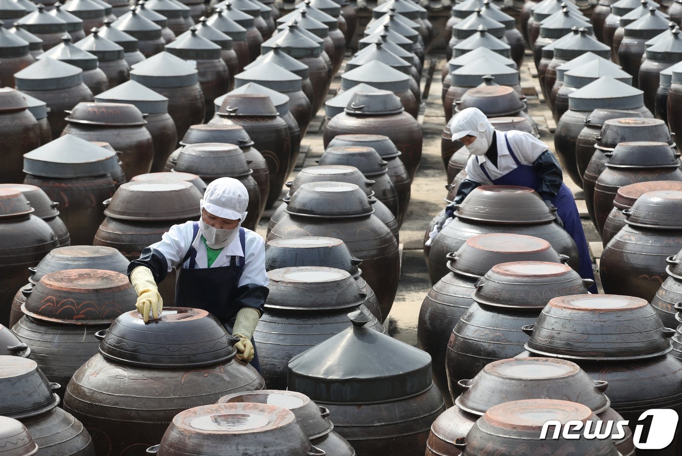 본문 이미지 - 완연한 봄날씨를 보인 27일 오후 경기 안성시 일죽면 서일농원에서 직원들이 장독대를 닦고 있다. 2024.3.27/뉴스1 ⓒ News1 김영운 기자