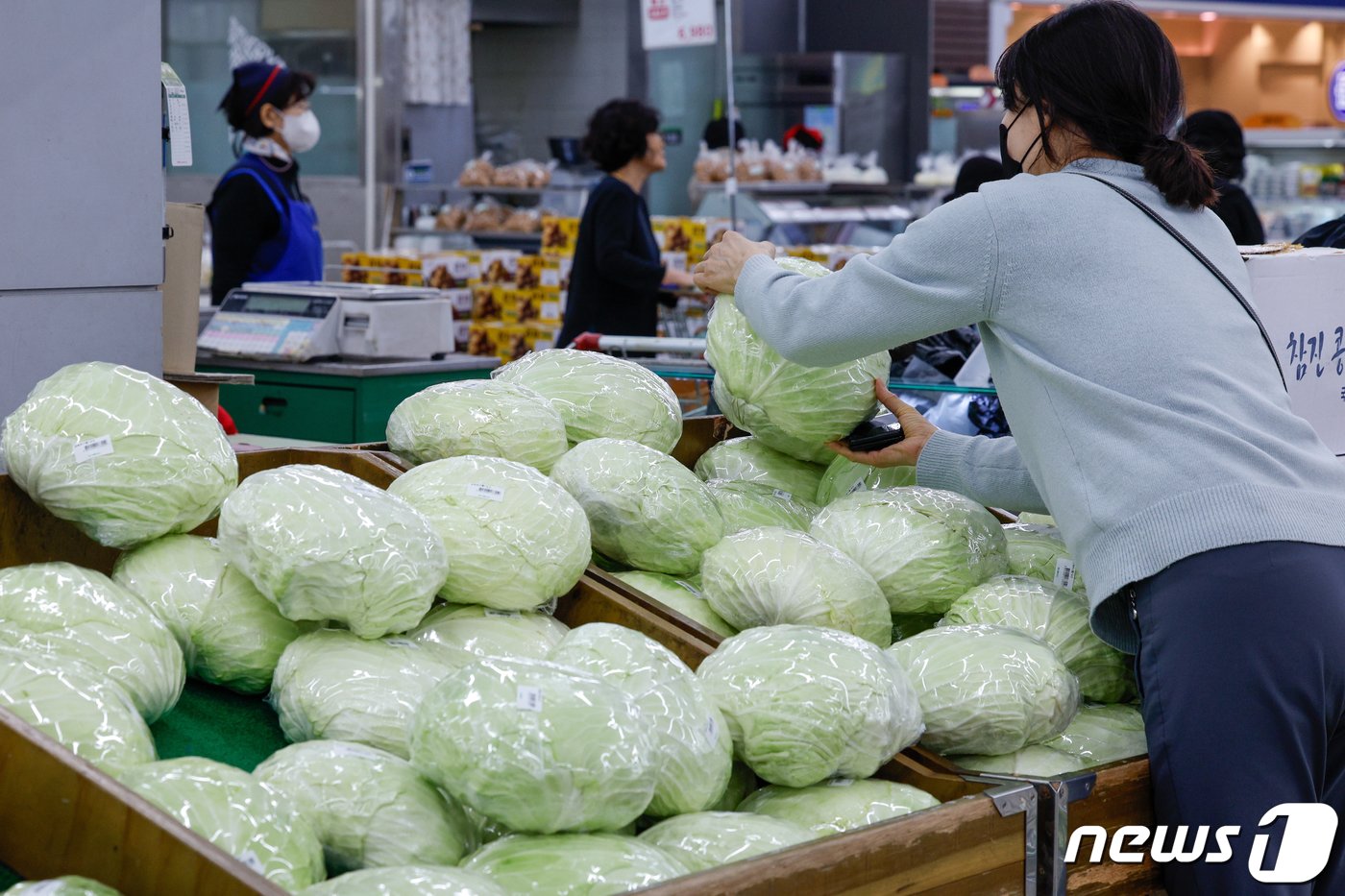 양배추를 비롯한 채소 가격이 오르며 자영업자들의 근심이 깊어지고 있는 27일 서울 시내 마트에서 시민이 양배추를 고르고 있다. 2024.3.27/뉴스1 ⓒ News1 안은나 기자