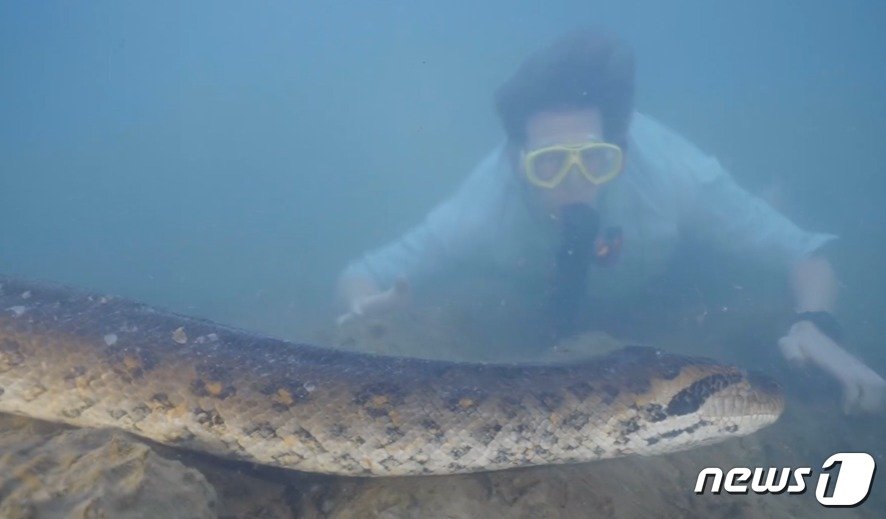 본문 이미지 - 프리크 본크 교수가 인스타그램에 공개한 '아나 줄리아'와 함께 강에서 헤엄치는 모습.(인스타그램 갈무리).