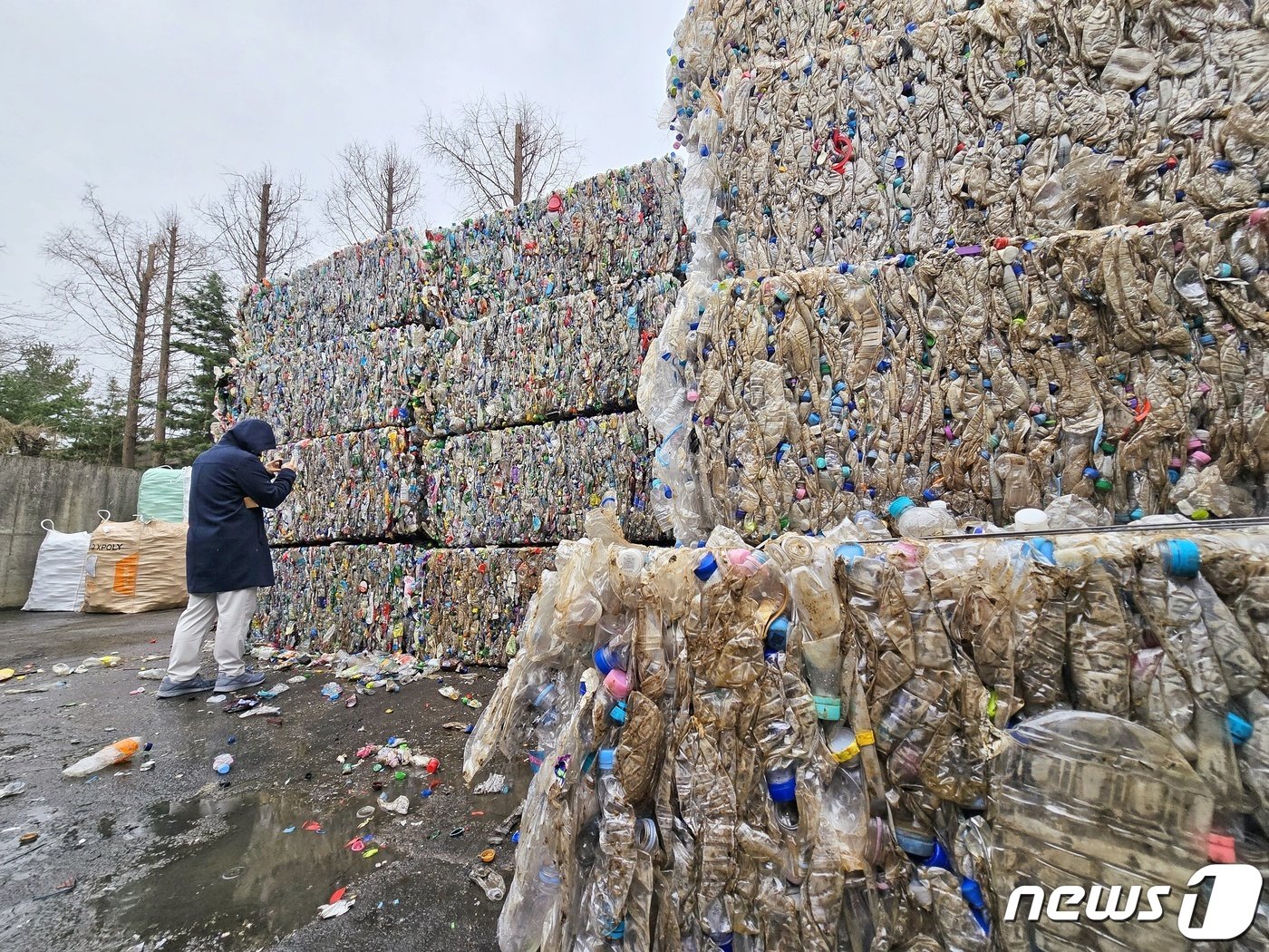 본문 이미지 - 28일 한 시민이 김포재활용수집소에서 선별·압축한 재활용 플라스틱을 살펴보고 있다. ⓒ 뉴스1 황덕현 기자