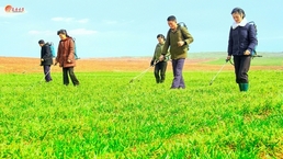 북한, '알곡고지 점령' 다그치기…