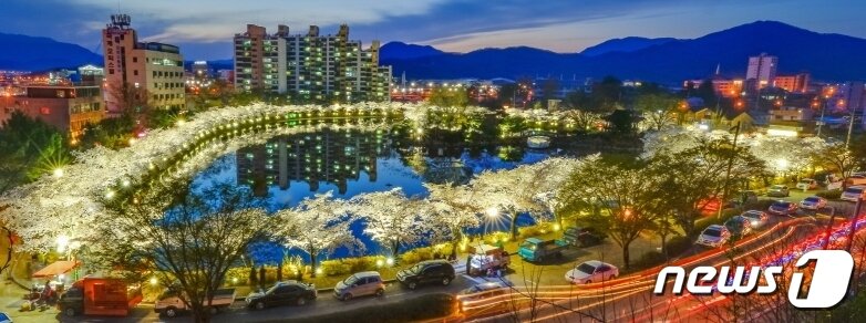본문 이미지 - 28일 밤 '벚꽃 명소' 김천 교동 '연화지' 에 벚꽃이 만개했다. 김천시는 김천시는 연화지를 방문하는 관광객에게 봄 야경을 만끽하고 추억을 만들 수 있도록 다음달 7일까지 연화지와 직지천 주변 벚꽃나무에 야간 경관조명을 점등한고 밝혔다. (김천시 제공) 2024.3.29/뉴스1 ⓒ News1 정우용 기자