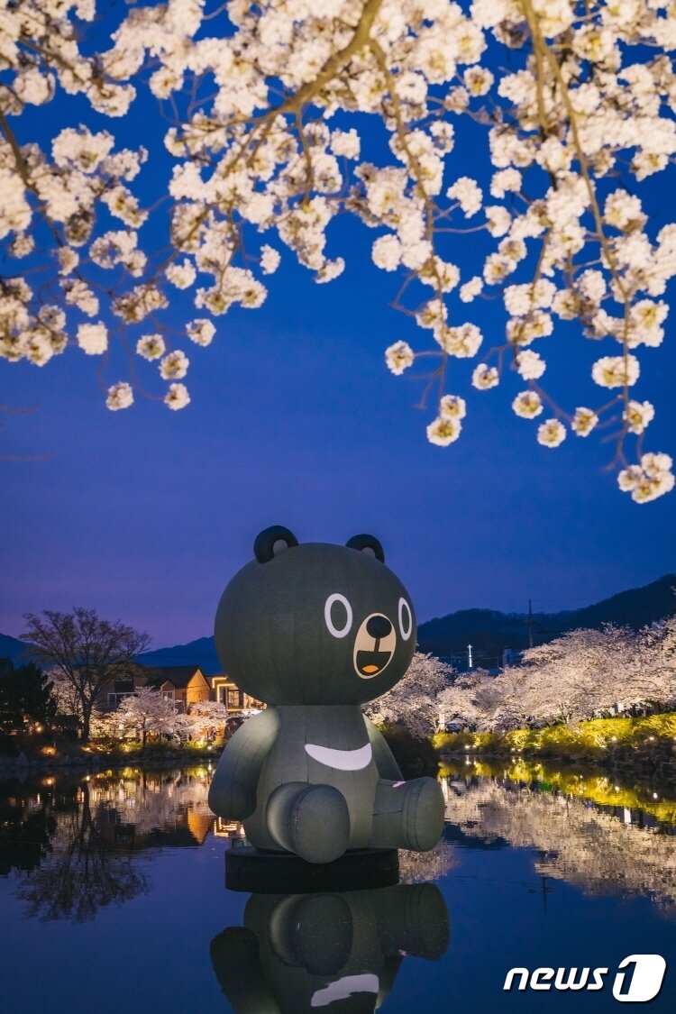 본문 이미지 - 28일 밤 '벚꽃 명소' 김천 교동 '연화지' 에 벚꽃이 만개했다. 김천시는 김천시는 연화지를 방문하는 관광객에게 봄 야경을 만끽하고 추억을 만들 수 있도록 다음달 7일까지 연화지와 직지천 주변 벚꽃나무에 야간 경관조명을 점등한고 밝혔다. (김천시 제공) 2024.3.29/뉴스1 ⓒ News1 정우용 기자
