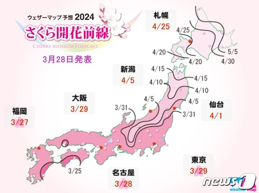 기상전문매체 웨더맵이 발표한 벚꽃 개화 시기.&#40;웨더맵 갈무리&#41;.