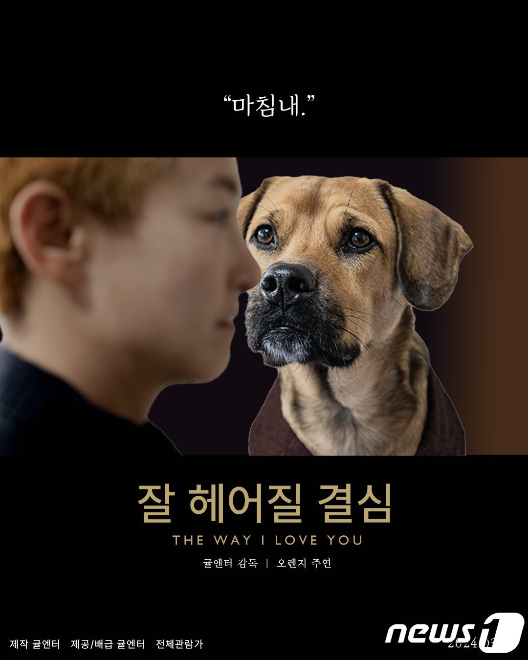 본문 이미지 - 유기견이 아닌 반려견 연습생으로 홍보한 귤엔터(귤엔터 제공) ⓒ 뉴스1