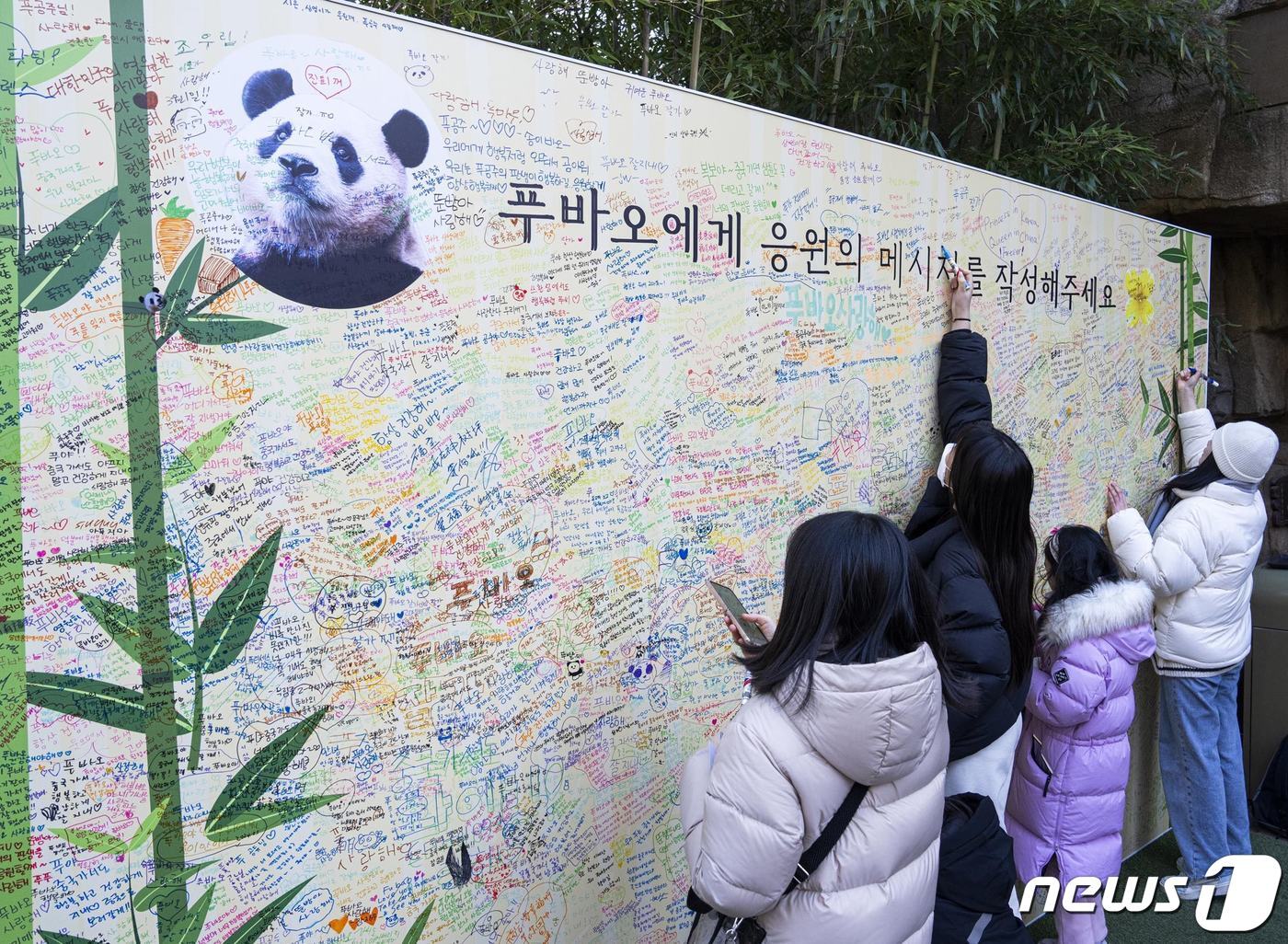 본문 이미지 - 자이언트 판다 푸바오가 오는 4월 중국 이동을 앞두고 관람객들과 3일 마지막 인사를 나눴다. 에버랜드는 푸바오가 중국으로 출발하는 당일 팬들과 함께 배웅하는 환송 행사를 검토 중이다. 사진은 경기 용인시 에버랜드 판다월드에 설치된 푸바오 응원 메시지 월. &#40;삼성물산 제공&#41; 2024.3.3/뉴스1