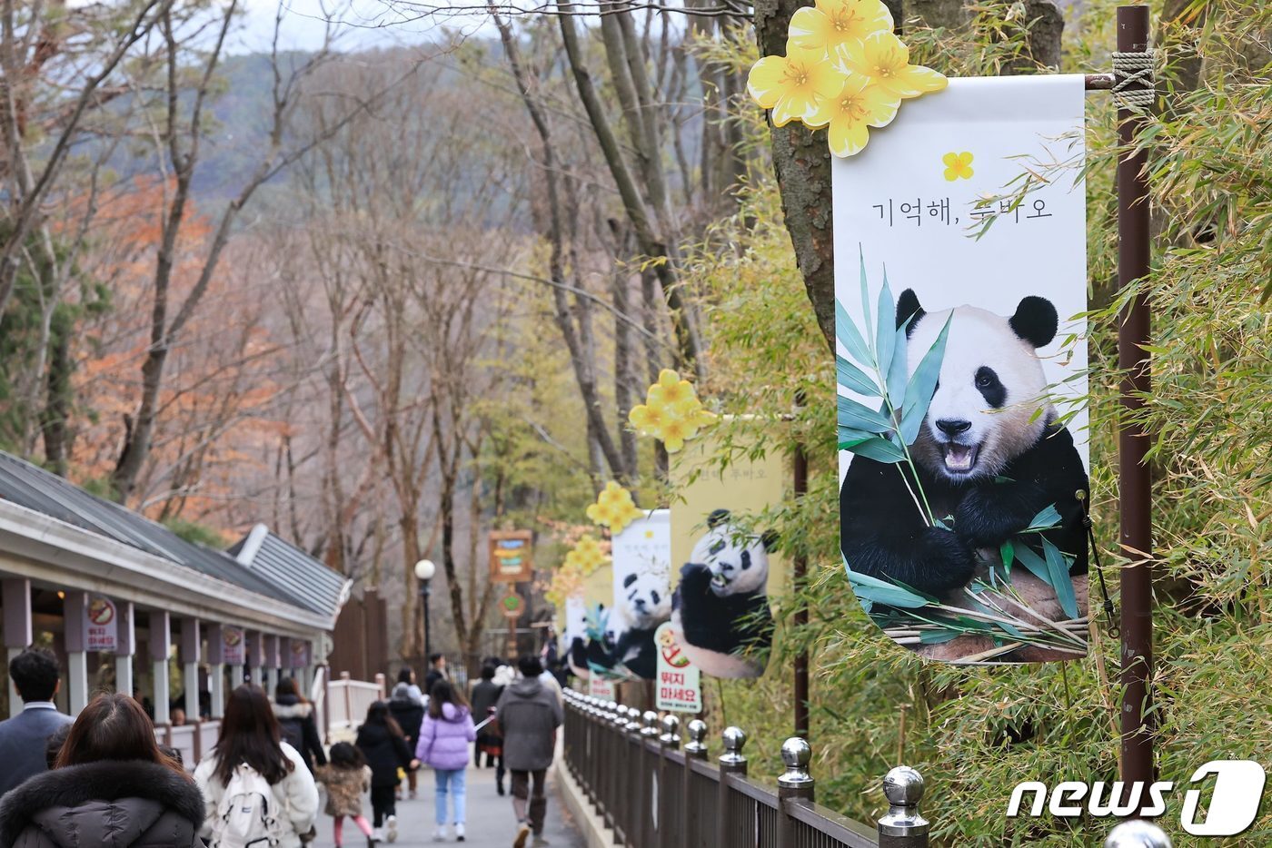 본문 이미지 - 자이언트 판다 푸바오가 오는 4월 중국 이동을 앞두고 관람객들과 3일 마지막 인사를 나눴다. 에버랜드는 푸바오가 중국으로 출발하는 당일 팬들과 함께 배웅하는 환송 행사를 검토 중이다. 사진은 경기 용인시 에버랜드 판다월드에 설치된 '푸바오' 응원 배너. (삼성물산 제공) 2024.3.3/뉴스1