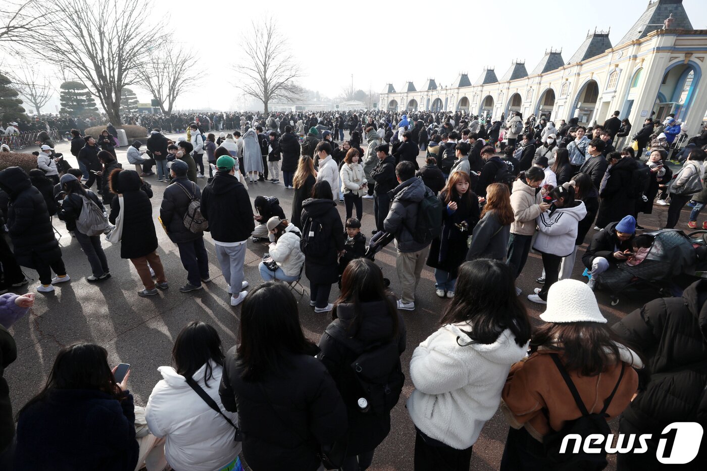본문 이미지 - 자이언트 판다 '푸바오'가 관람객들을 만나는 마지막 날인 3일 오전 경기 용인시 에버랜드에서 관람객들이 오픈런을 위해 줄 서 있다. 2024.3.3/뉴스1 ⓒ News1 사진공동취재단