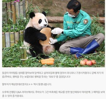 본문 이미지 - 아기판다 다이어리 32화(삼성물산 리조트 부문 블로그 갈무리)