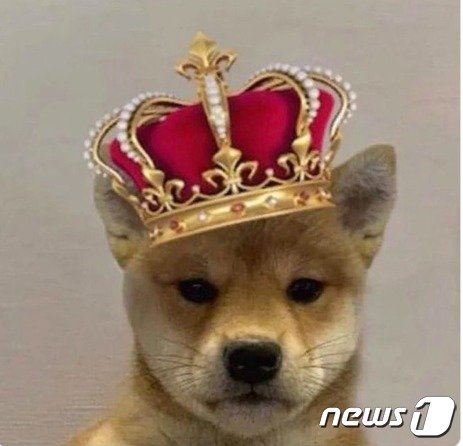 본문 이미지 - WIF 상징물 - X 갈무리