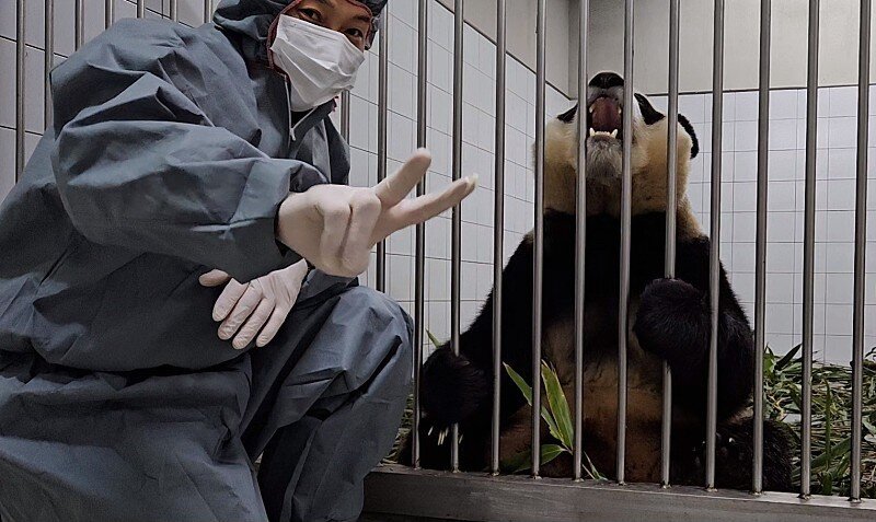 본문 이미지 - (에버랜드 네이버 팬카페 '주토피아' 갈무리)