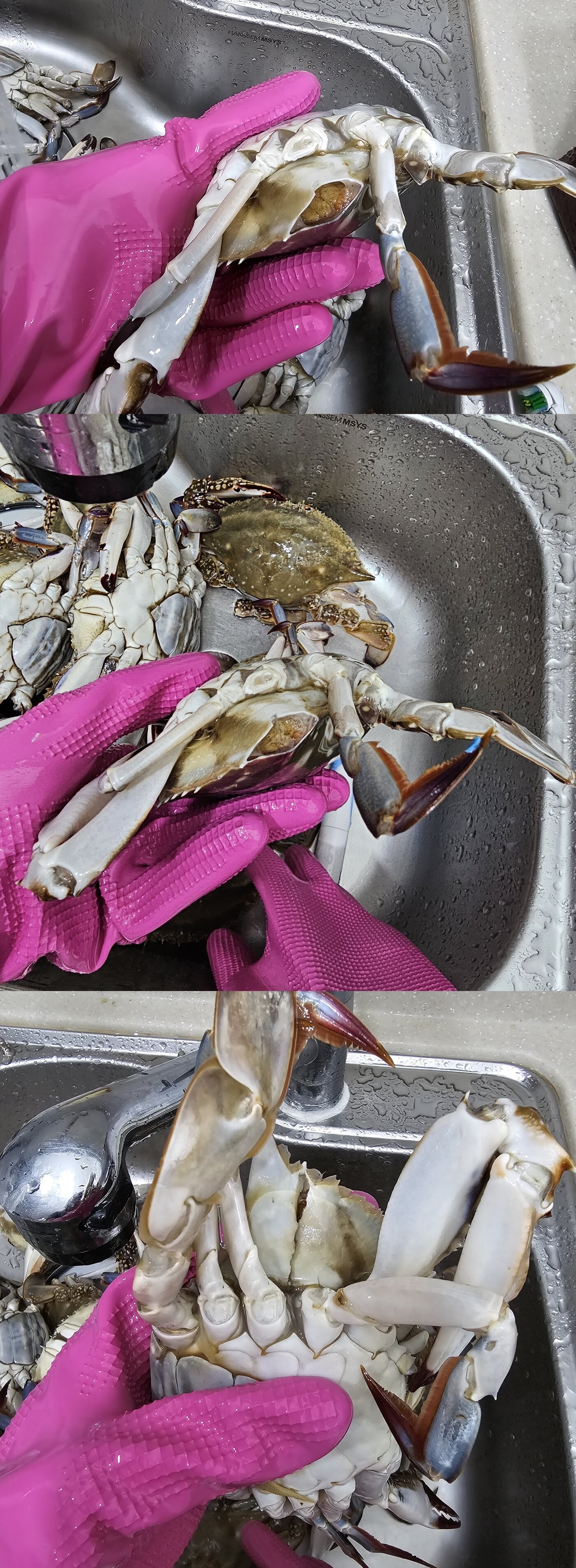 본문 이미지 - (온라인 커뮤니티 갈무리) /뉴스1