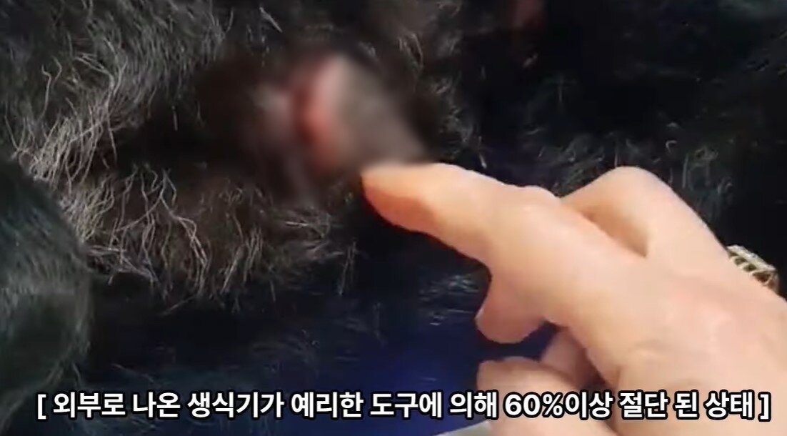 본문 이미지 - (유튜브 '그남자의 멍한여행' 갈무리)