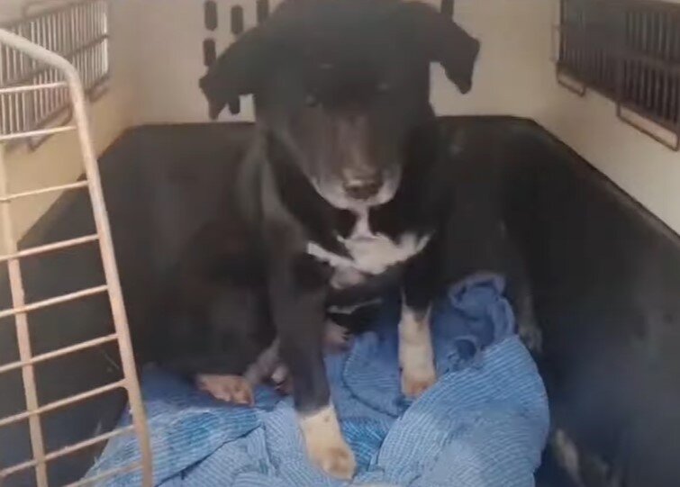 본문 이미지 - (유튜브 '그남자의 멍한여행' 갈무리)