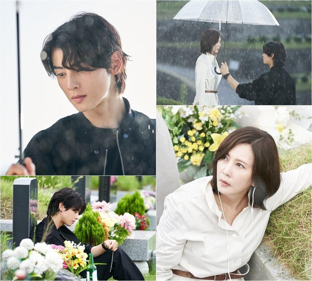 본문 이미지 - 사진=MBC '원더풀 월드'