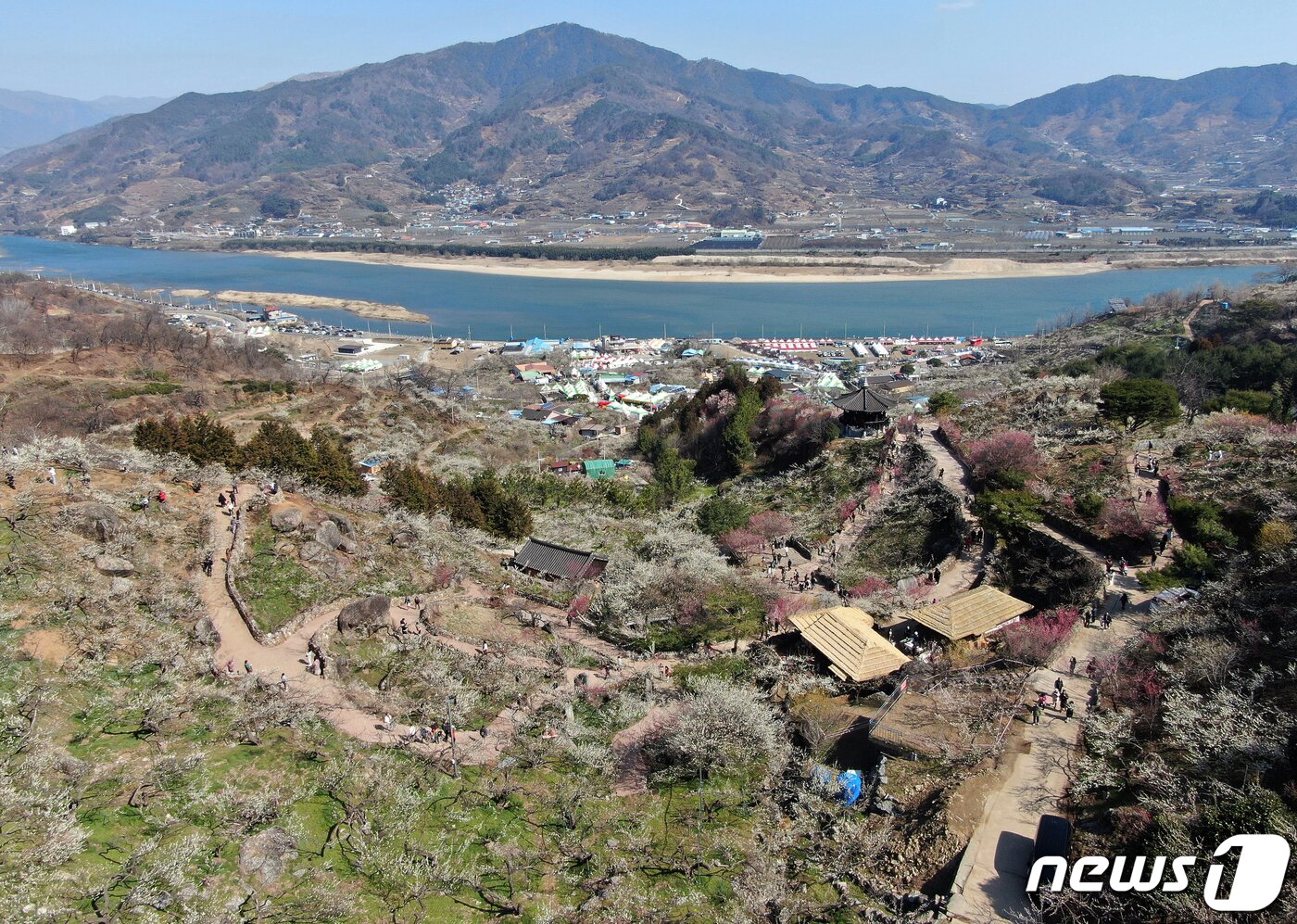 본문 이미지 - 광양매화축제가 개막한 8일 전남 광양시 매화마을을 찾은 상춘객들이 봄 기운을 만끽하고 있다. 광양매화축제는 섬진강변과 청매실농원을 중심으로 오는 이날부터 17일까지 열린다. 2024.3.8/뉴스1 ⓒ News1 김진환 기자