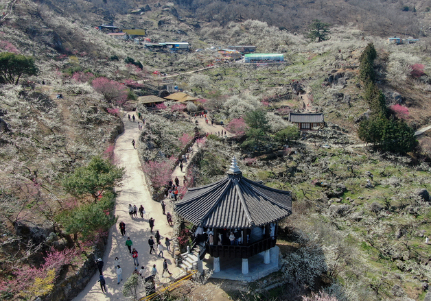 봄 축제 개막 '바가지 금지령'…적발 시 즉시 문 닫는다