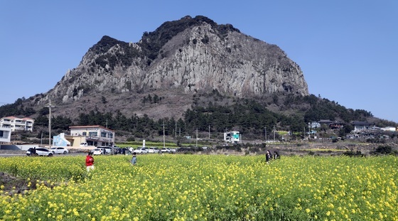 '출입금지' 제주 산방산 정상까지 오른 등반객…벌금 500만원