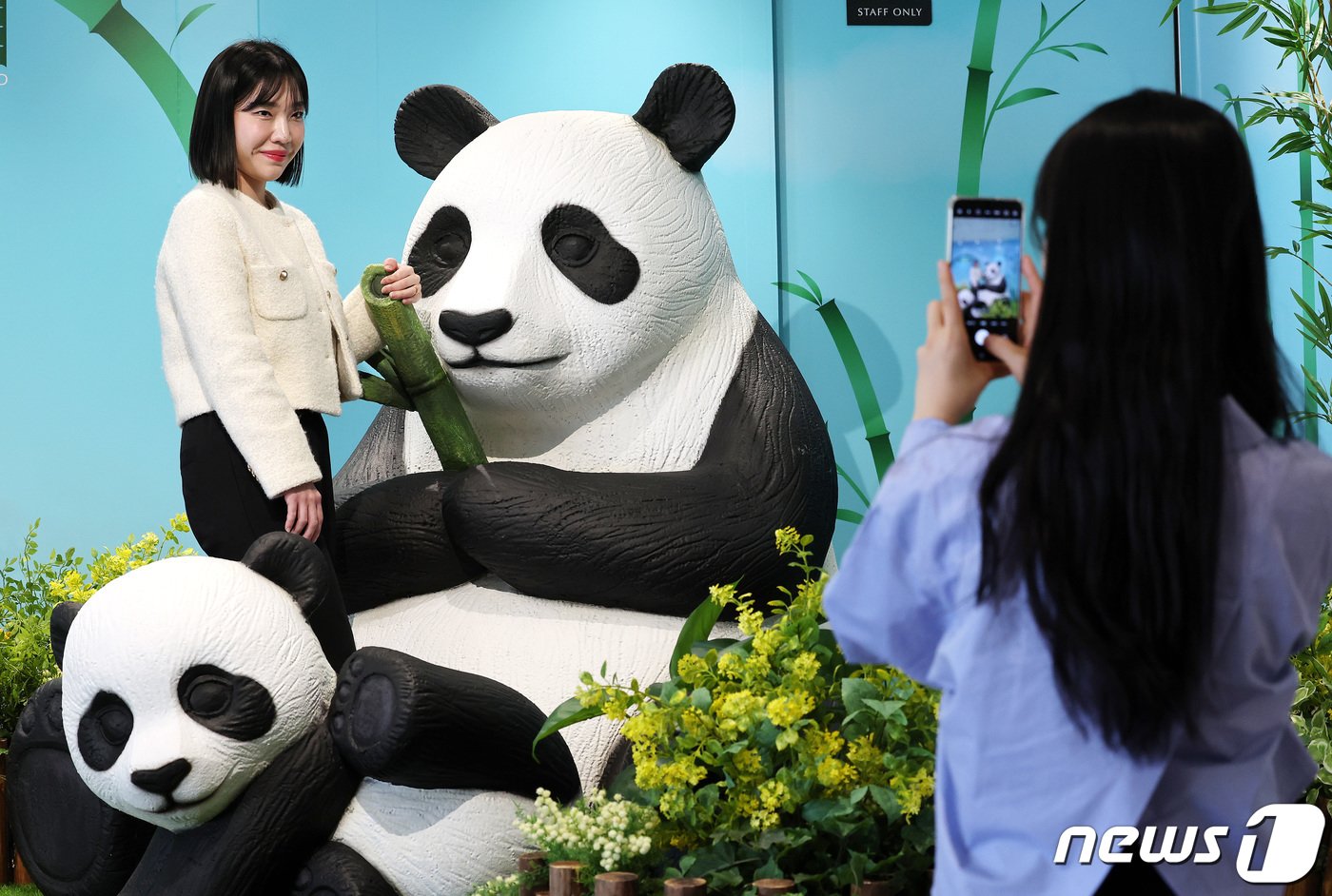 본문 이미지 - 1일 오후 서울 중구 신라면세점 서울점에 마련된 아이바오·러바오·푸바오·후이바오·루이바오 등 바오패밀리를 만나볼 수 있는 팝업존에서 고객들이 기념촬영을 하고 있다. 자이언트판다 푸바오는 오는 3일 중국 쓰촨성에 위치한 자이언트판다보전연구센터 워룽선수핑 기지로 떠난다. 2024.4.1/뉴스1 ⓒ News1 박지혜 기자