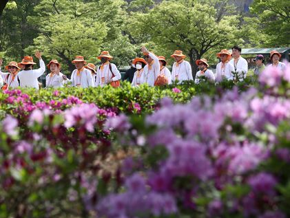 "함께 건강 챙겨요" …영동군, '주말·공휴일 걷기 챌린지' 추진