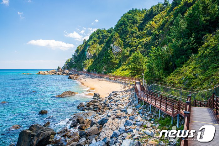 본문 이미지 - 강릉 정동·심곡 바다부채길.(강릉관광개발공사 제공) 2024.4.12/뉴스1