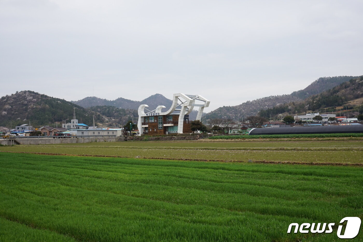 본문 이미지 - 돈지리 들판너머의 백구테마센터. 2024.4.12 뉴스1 ⓒ News1 조영석 기자