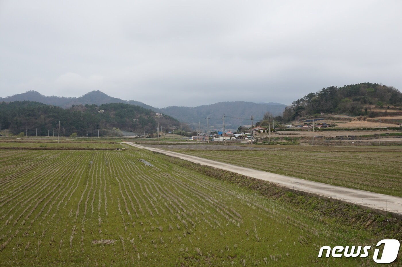 본문 이미지 - 원두마을 앞 '빈지머리들'풍경. 2024.4.12 뉴스1 ⓒ News1 조영석 기자