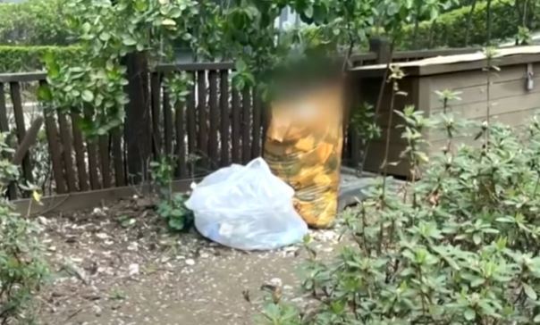 본문 이미지 - (JTBC '사건반장')