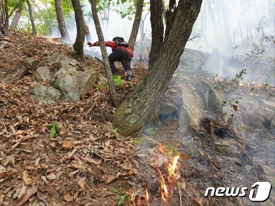 13일 낮 12시 35분께 충남 공주 사곡면 화월리에서 발생한 산불이 39분 만에 꺼졌다. &#40;산림청 제공&#41;/뉴스1