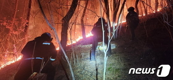 본문 이미지 - 부산 강서구 산불 현장&#40;산림청 제공&#41;/뉴스1