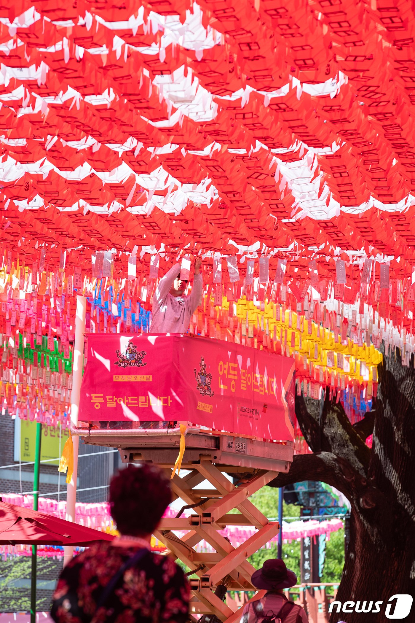 본문 이미지 - 부처님 오신날을 한달여 앞둔 14일 서울 종로구 조계사에 직원이 연등을 달고 있다. 2024.4.14/뉴스1 ⓒ News1 유승관 기자