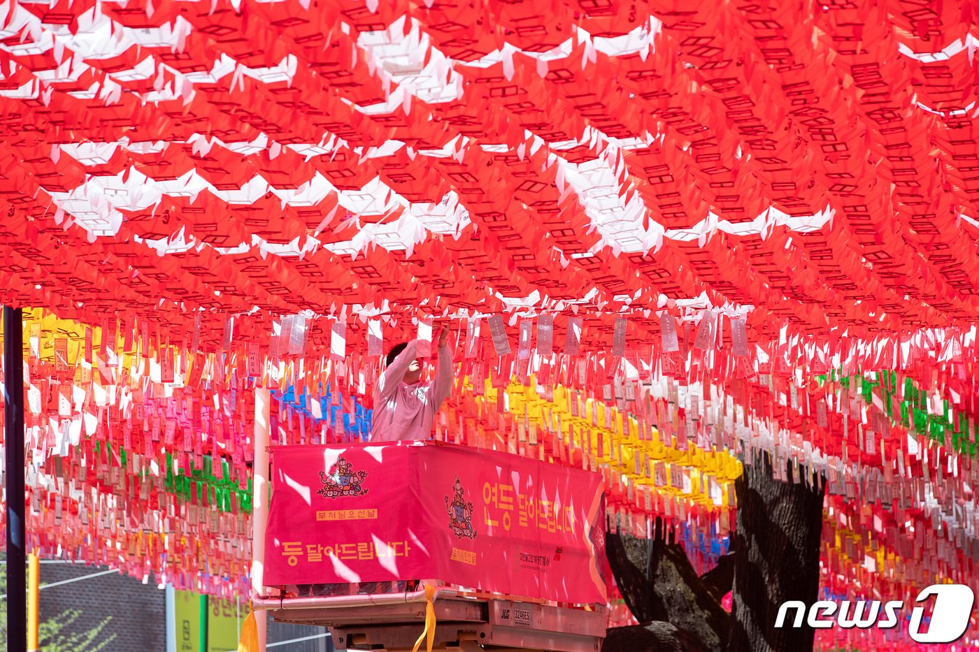 본문 이미지 - 부처님 오신날을 한달여 앞둔 14일 서울 종로구 조계사에 직원이 연등을 달고 있다. 2024.4.14/뉴스1 ⓒ News1 유승관 기자