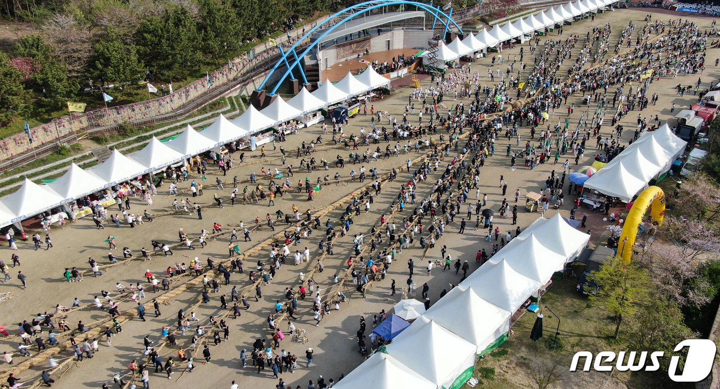 14일 충남 당진시 송악읍 기지시줄다리기박물관 일원에서 열린 기지시줄다리기 축제에서 참가자들이 줄을 당기고 있다. 2024.4.14/뉴스1 ⓒ News1 김도우 기자