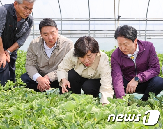 송미령 농식품부 장관 성주참외농가 방문