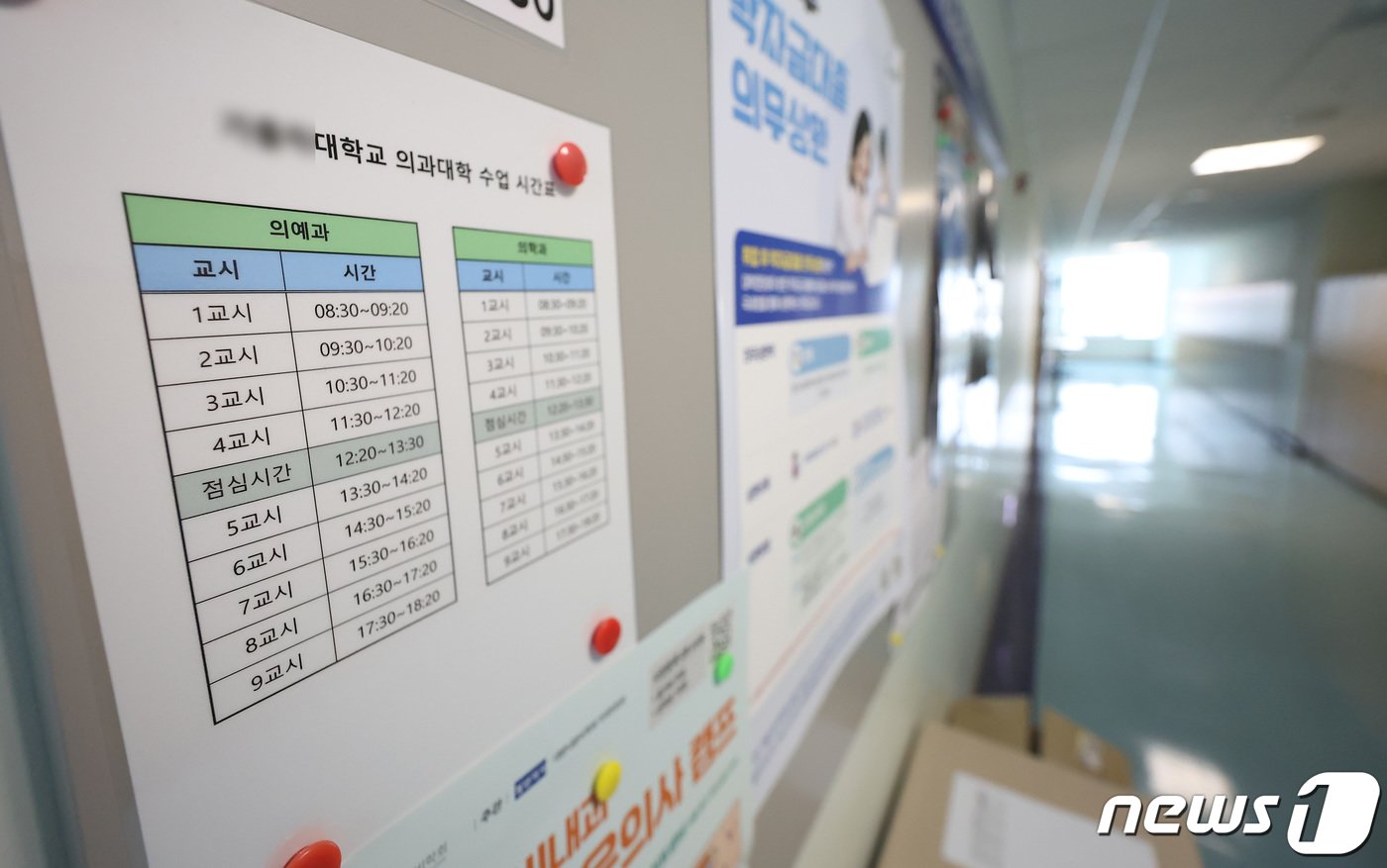 본문 이미지 - 전국 16곳 대학 의과대학이 개강한 15일 오후 서울 시내의 한 의과대학 강의실 앞에 수업 시간표가 붙어 있다. 2024.4.15/뉴스1 ⓒ News1 김민지 기자