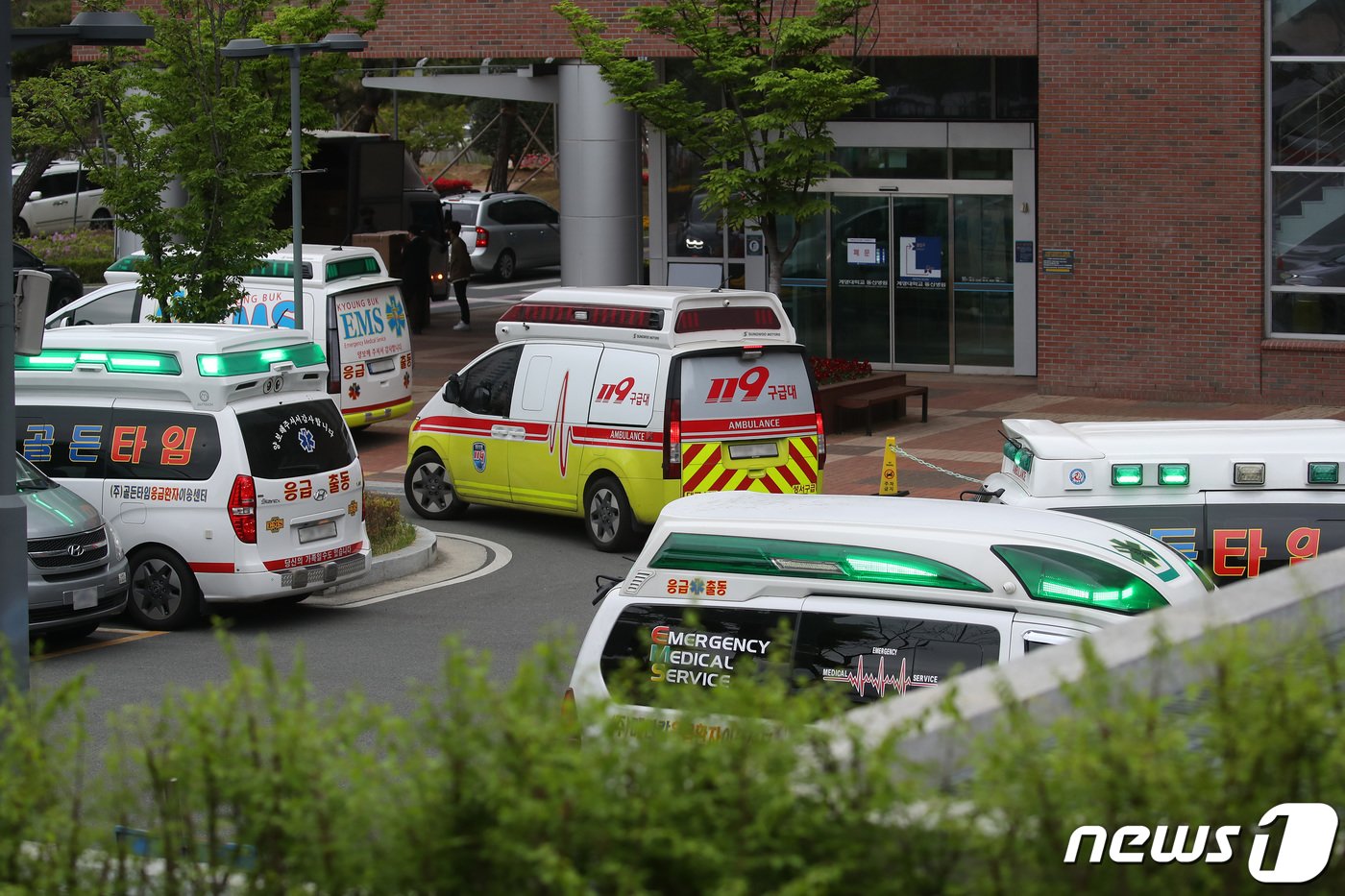본문 이미지 - 의대 증원을 둘러싼 의정갈등이 장기화하고 있는 가운데 15일 대구의 한 대학병원 응급실 입구에 구급차 여러 대가 대기하고 있다. 2024.4.15/뉴스1 ⓒ News1 공정식 기자