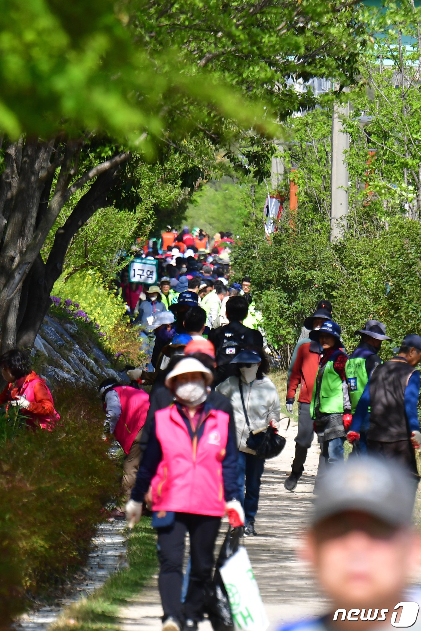 16일 오후 경북 포항시 연일읍 유강리에서 열린 &#39;시민손으로 함께 가꾸는 녹색도시&#39; 2024 포항희망 숲 나무심기행사에 참여한 시민들이 나무를 심기 위해 이동하고 있다.2024.4.16/뉴스1 ⓒ News1 최창호 기자