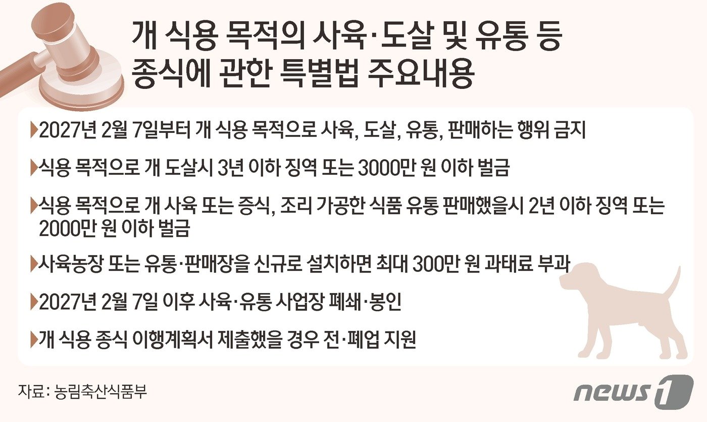 본문 이미지 - ⓒ News1 김초희 디자이너