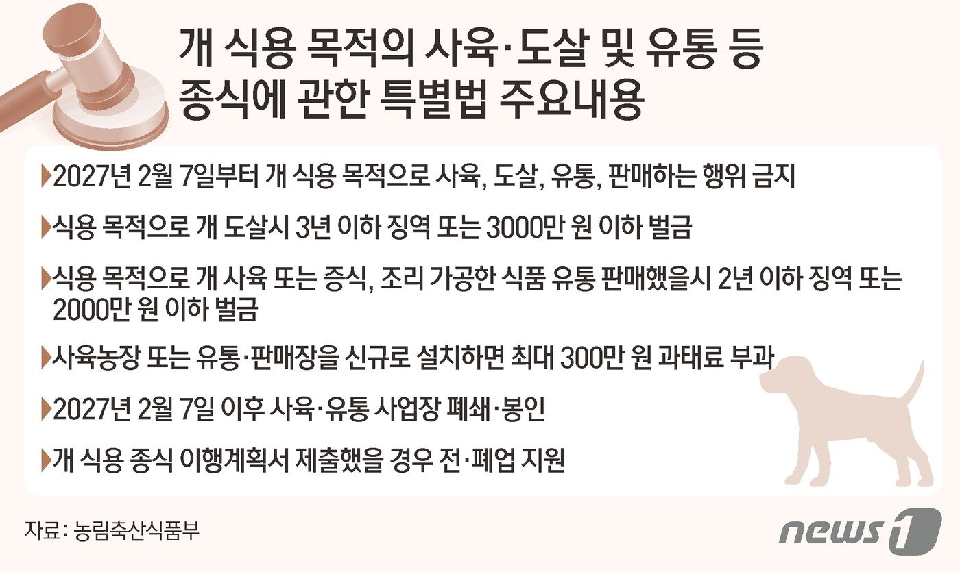 ⓒ News1 김초희 디자이너